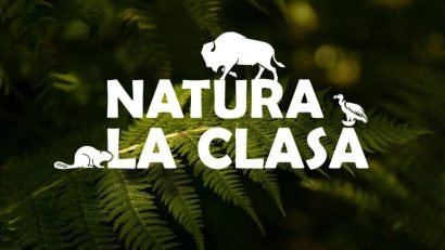 Caravana „Natura la clasă” va ajunge la peste 1.000 de elevi din jurul Munţilor Făgăraş