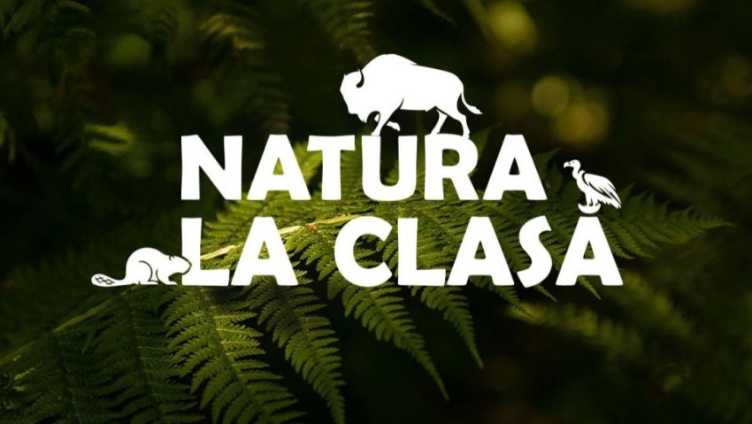 Caravana „Natura la clasă” va ajunge la peste 1.000 de elevi din jurul Munţilor Făgăraş