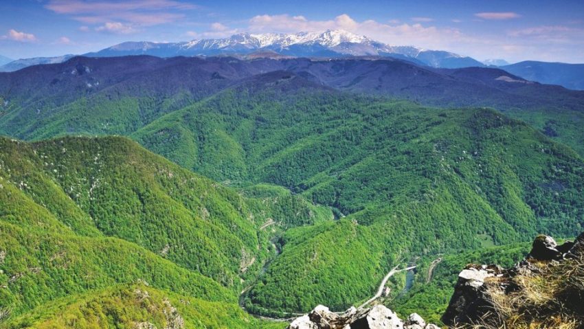 GORJ: Proiectul „Liliecii din defilee: poveşti nocturne în arii naturale protejate”, lansat în Defileul Jiului