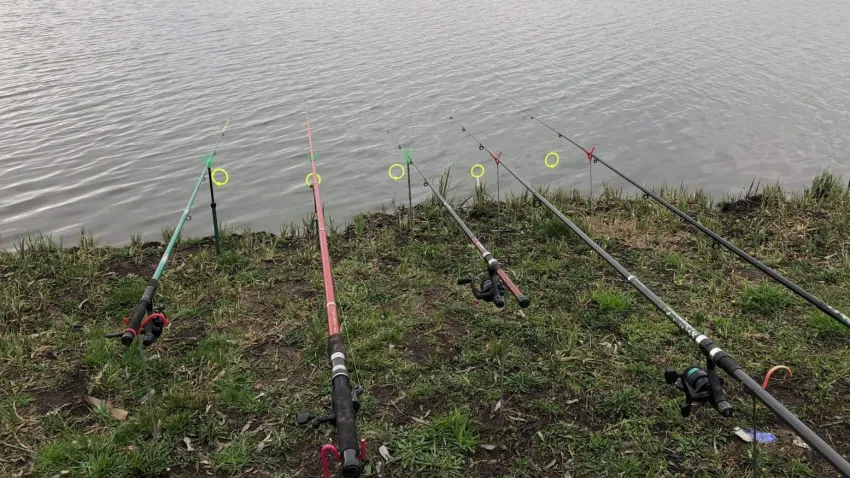 TULCEA: În perioada 1 – 31 mai, Lacul Ciuperca se redeschide pentru pescuit recreativ