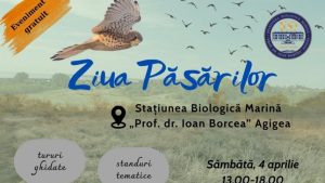 AGIGEA: Stațiunea Biologică Marină „Prof. Dr. Ioan Borcea” organizează „Ziua Păsărilor” | AUDIO
