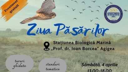 AGIGEA: Stațiunea Biologică Marină „Prof. Dr. Ioan Borcea” organizează „Ziua Păsărilor” | AUDIO
