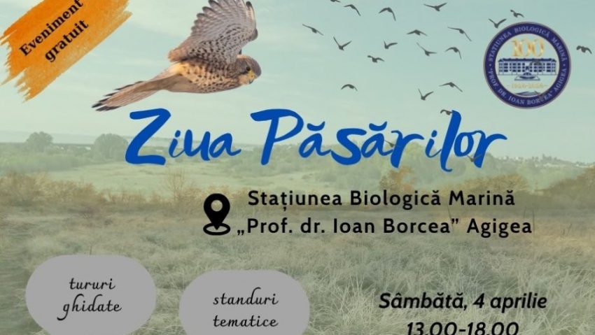AGIGEA: Stațiunea Biologică Marină „Prof. Dr. Ioan Borcea” organizează „Ziua Păsărilor” | AUDIO