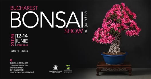 Terapie curată, la BUCHAREST BONSAI SHOW