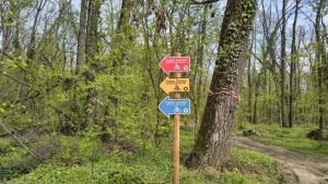 Punct de informare turistică și Muzeu al Pădurii, în Pădurea Băneasa