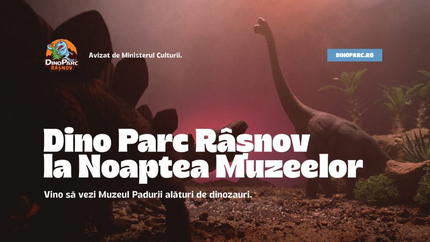 Cel mai nou muzeu din România va putea fi vizitat gratuit de Noaptea Muzeelor