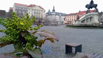Cluj-Napoca devine capitala designului și arhitecturii contemporane