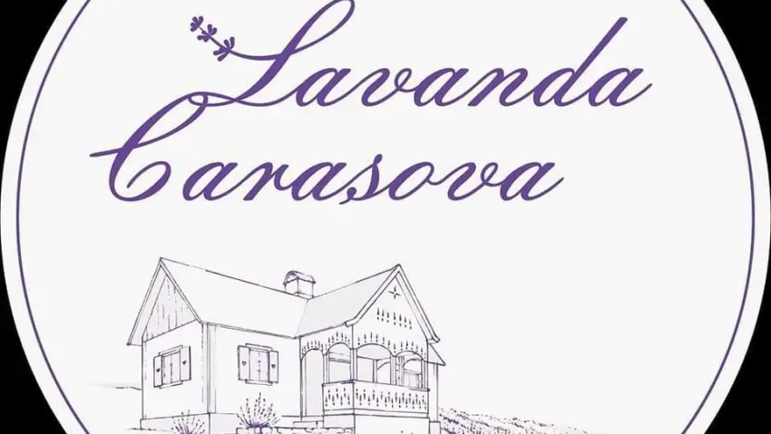 Lavanda Carașova își deschide porțile pentru vizitatori
