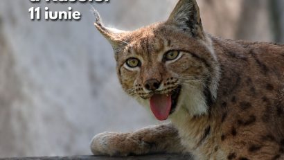 Ziua Internațională a Râsului va fi marcată la Grădina Zoologică din Brașov