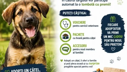 TULCEA: Târg de adopții în Parcul Delta