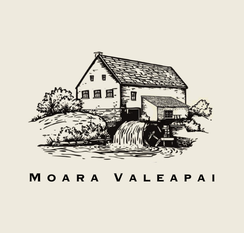 Moara de la Valeapai va fi salvată. Clădirea va fi transformată într-un muzeu al morăritului