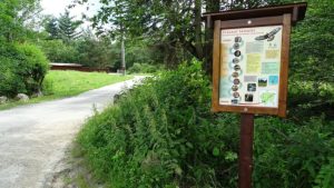 Taxa de vizitare a Parcului Național Semenic – Cheile Carașului este de 10 lei pe zi