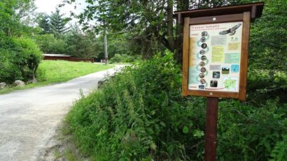 Taxa de vizitare a Parcului Național Semenic – Cheile Carașului este de 10 lei pe zi