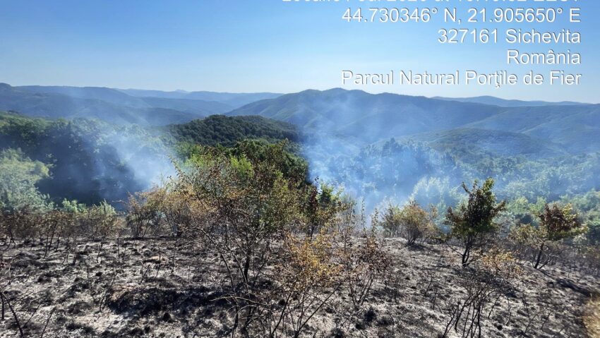 Incendii de vegetație în Parcul Natural Porțile de Fier