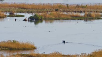 TULCEA: Nivelul scăzut al Dunării aduce restricții pentru pescari și de navigație!