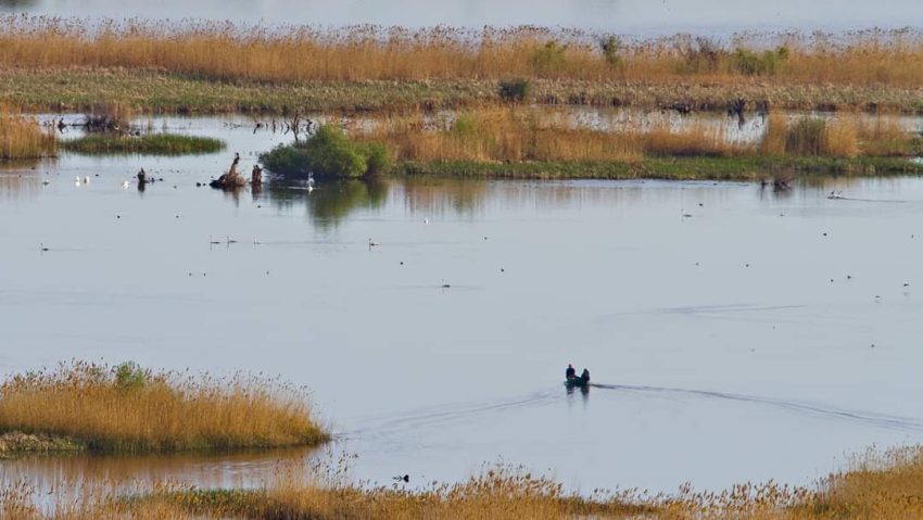 TULCEA: Nivelul scăzut al Dunării aduce restricții pentru pescari și de navigație