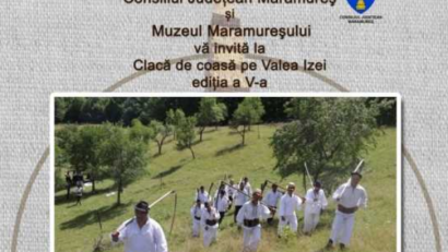 Maramureș: ”Clacă la cosit pe Valea Izei”, invitație la redescoperirea cositului manual și a gastronomiei locale