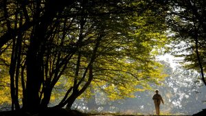 Luna august, pe Colinele Transilvaniei: Festivaluri, gastronomie locală și aventuri în natură