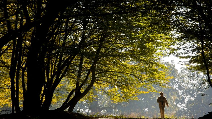 Luna august, pe Colinele Transilvaniei: Festivaluri, gastronomie locală și aventuri în natură