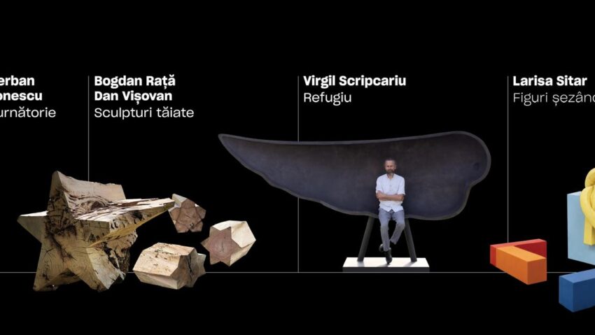 TIMIȘOARA: Publicul alege câștigătorul Premiului Peter Jecza pentru Sculptura Anului