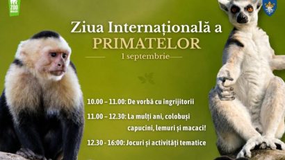 Ziua Primatelor, la Zoo Brașov