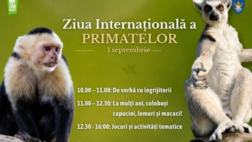 Ziua Primatelor, la Zoo Brașov