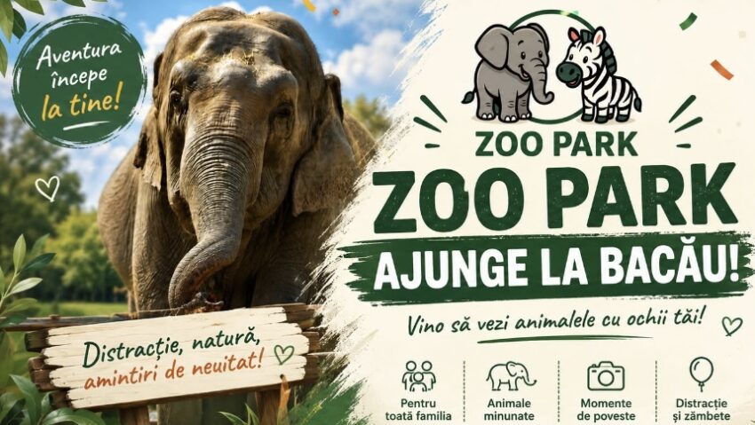 Zoo Park Bacău – Vizitatorii pot hrăni un elefant în perioada 7-23 august