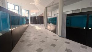 Acvariul din Constanța va funcționa provizoriu în cadrul Delfinariului | AUDIO