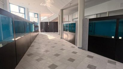 Acvariul din Constanța va funcționa provizoriu în cadrul Delfinariului | AUDIO