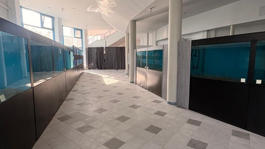 Acvariul din Constanța va funcționa provizoriu în cadrul Delfinariului | AUDIO