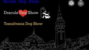 Sute de câini de rasă vor fi prezenți la Festivalul internațional Dracula Dog Show de la Târgu Mureș