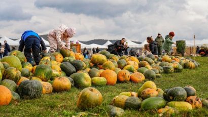 Festivalul Dovleacului, la Tonciu