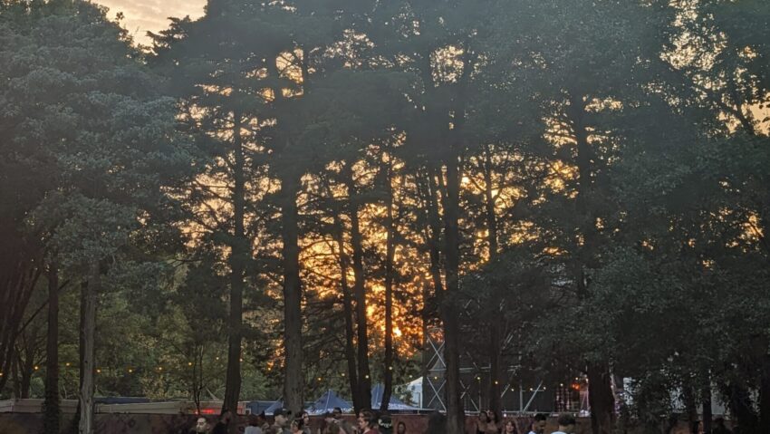 Sound District Floreasca: festival urban de muzică clasică, pe 11 și 12 septembrie