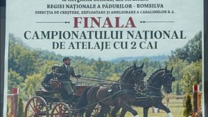Finala Campionatului Național de Atelaje cu 2 cai, la Beclean