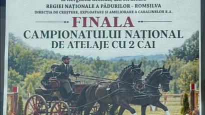 Finala Campionatului Național de Atelaje cu 2 cai, la Beclean
