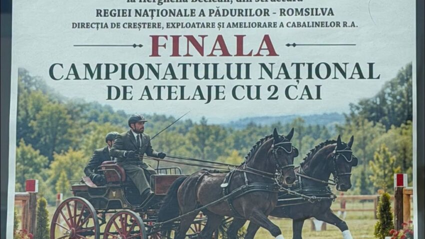 Finala Campionatului Național de Atelaje cu 2 cai, la Beclean