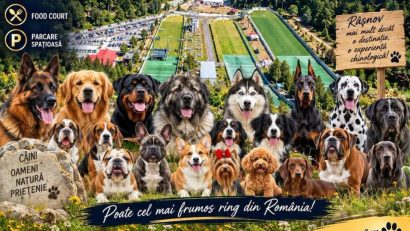 Râșnovul găzduiește Expoziția Canină Internațională