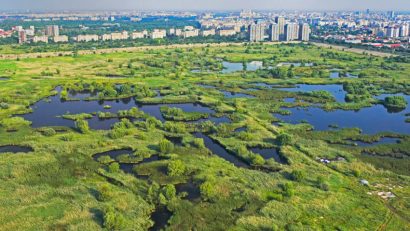 BUCUREȘTI: Săptămâna Verde în Parcul Natural Văcăreşti