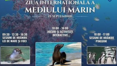 Ziua Internațională a Mediului Marin, marcată la Zoo Brașov