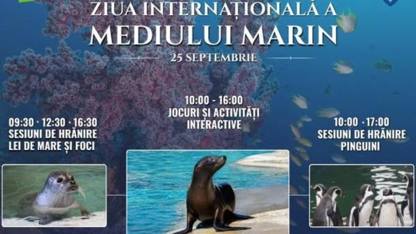 Ziua Internațională a Mediului Marin, marcată la Zoo Brașov