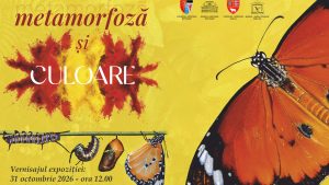 Expoziția „Metamorfoză și culoare”, la Muzeul „Vasile Pârvan” Bârlad