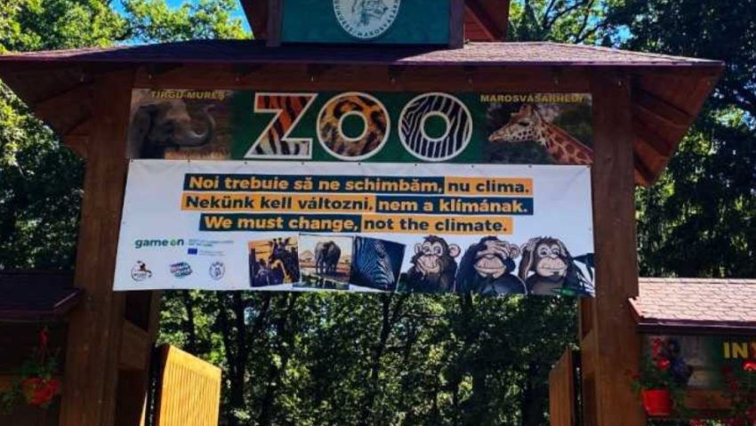 Mureș: Hrănire publică de lilieci și spectacole cu foc, la evenimentul nocturn de Halloween de la Zoo